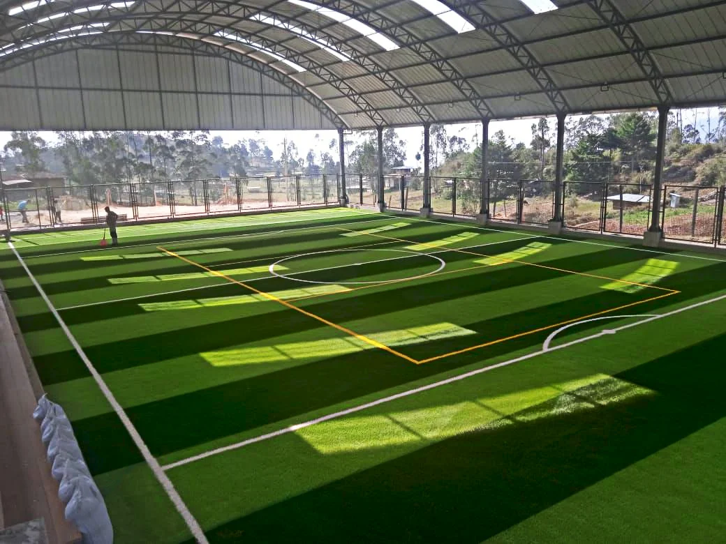 Indoor training facility with artificial turf and motivational wall graphics